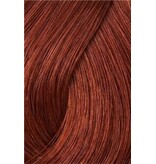 Topchic 8RR  Goldwell Topchice 60ml Robin