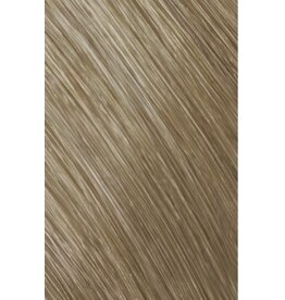 Topchic 9NA  Goldwell Topchic  60ml Zeer Licht Natuur Asch Blond