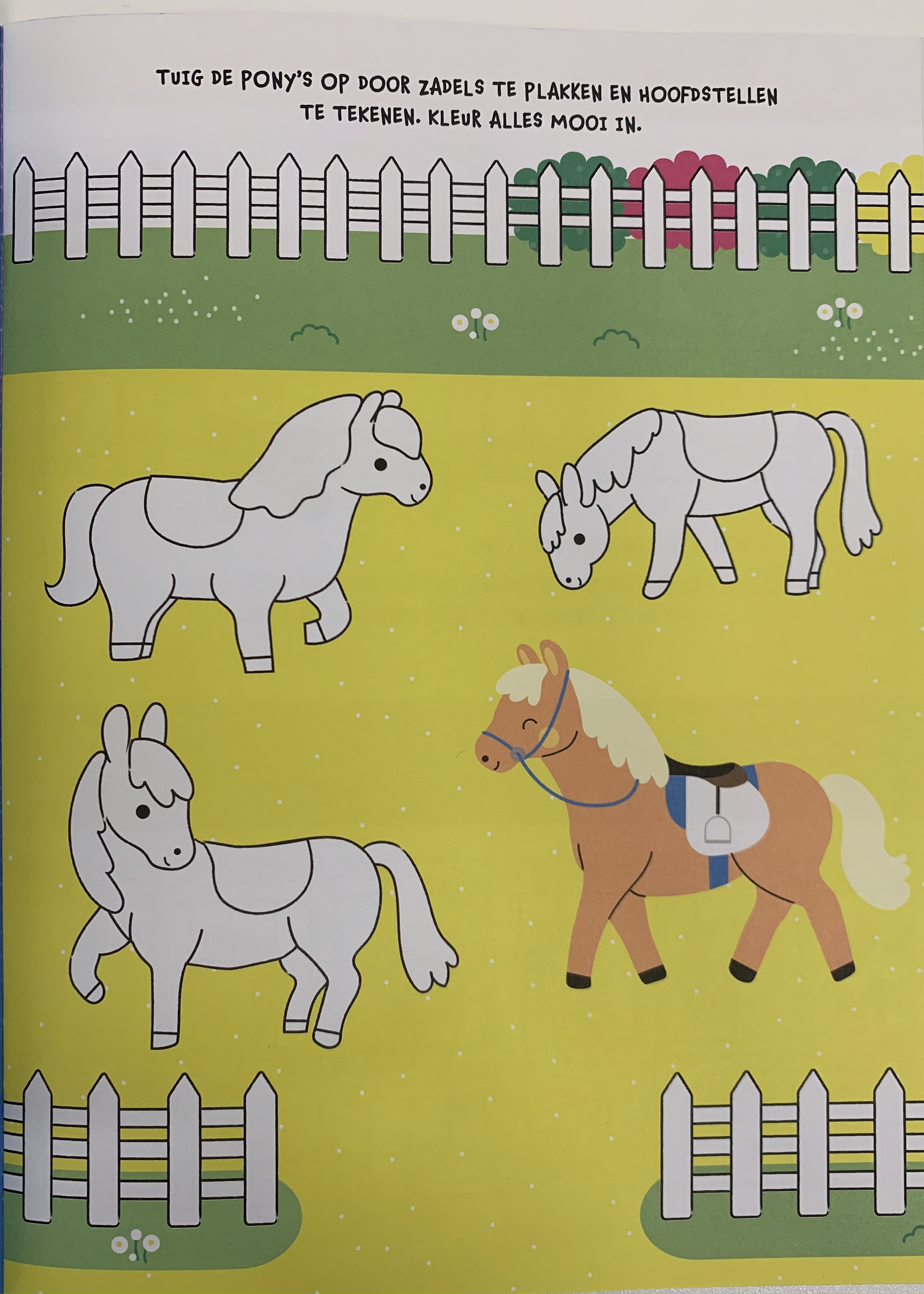 Mijn stickerboek - paarden en pony's 3+