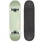 Globe Goodstock Skateboard Sage Green 9.0"