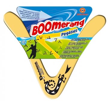 Gunther Boomerang en plastique Gunther