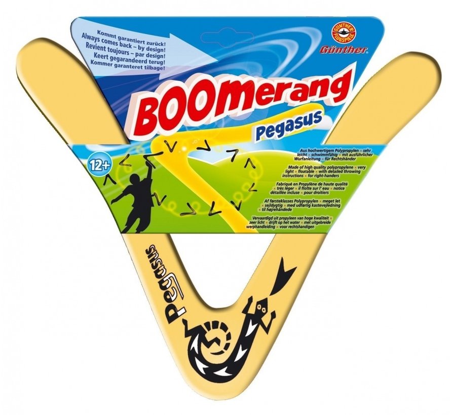Gunther plastic boomerang