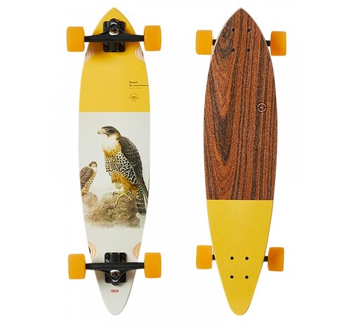 Globe Globe Pintail 34" - Longboard Falcon