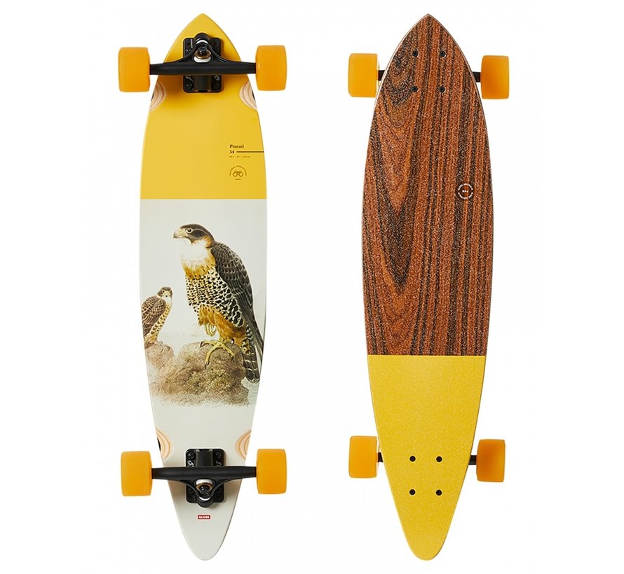 Globe Pintail 34" - Falcon longboard