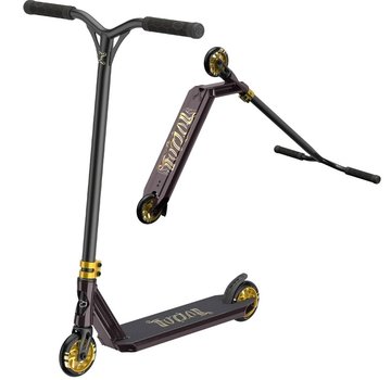 Fuzion Fuzion - 2021 - Z300 - Changement de couleur Or/Noir