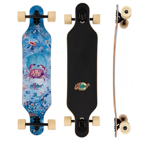 D Street D Street Drop durch Longboard 39 Reef