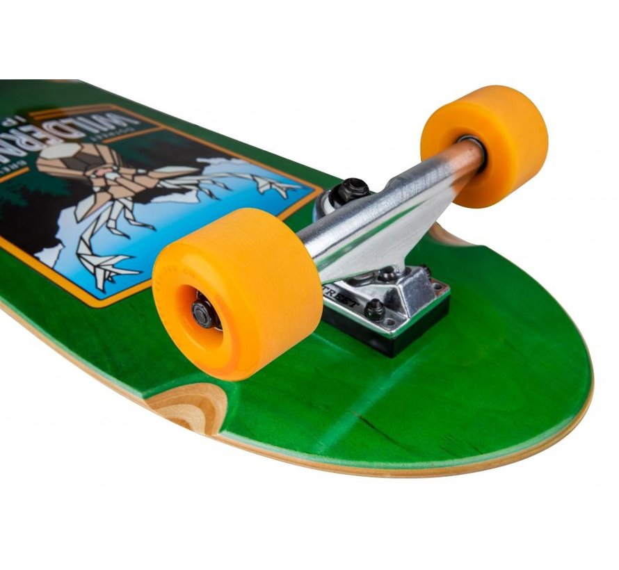 D Street cruiser 30.5 Wilderness with 4 inch trucks