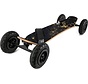 Vevor mountain board 7.9 inch Earth for the little rider