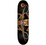 Powell Peralta Blat do deskorolki Powell-Peralta Levon Biss Marion 8.25