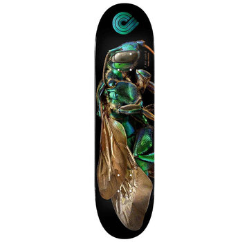 Powell Peralta Powell-Peralta Levon Biss Orchid Cuckoo Bee  Skateboard Deck 8.0