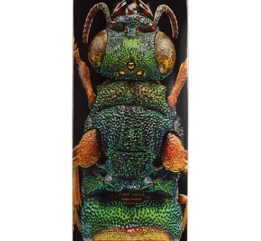 Powell-Peralta Levon Biss Orchid Cuckoo Bee  Skateboard Deck 8.0