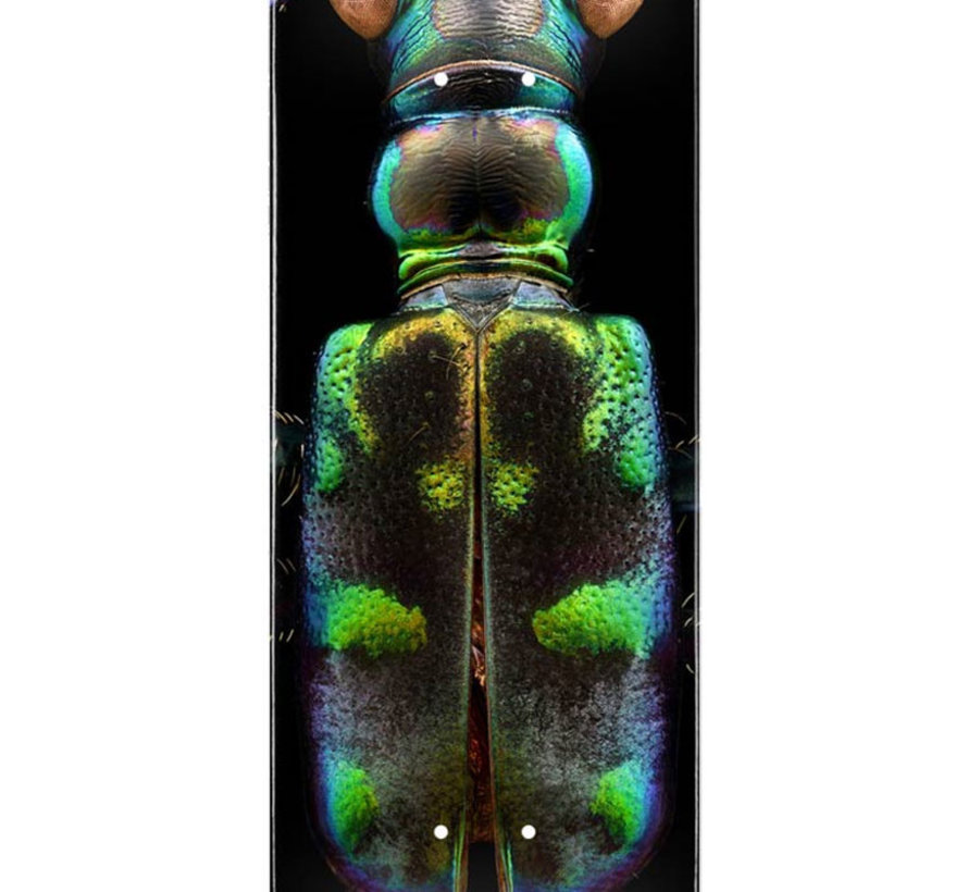 Powell-Peralta Levon Biss Tiger Beetle Skateboard Deck Shape 248 8.25