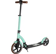 Story Scooter da trasporto pieghevole Story Retro Ride Mint