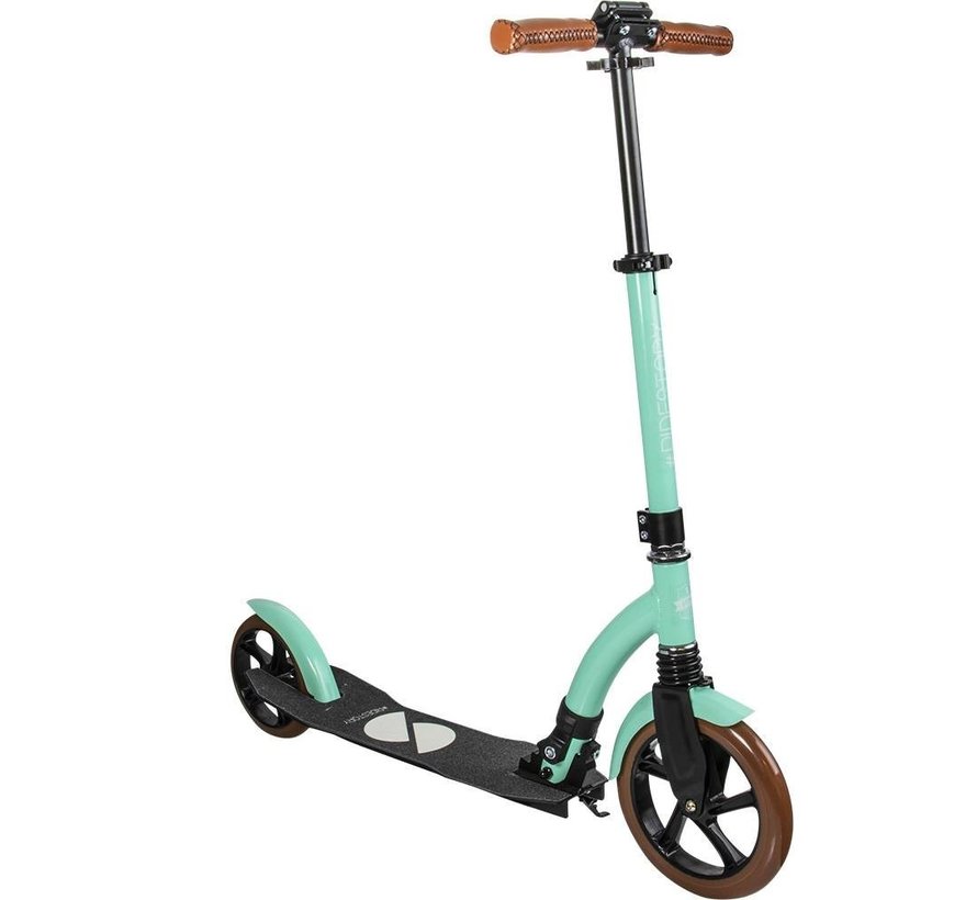 Scooter da trasporto pieghevole Story Retro Ride Mint