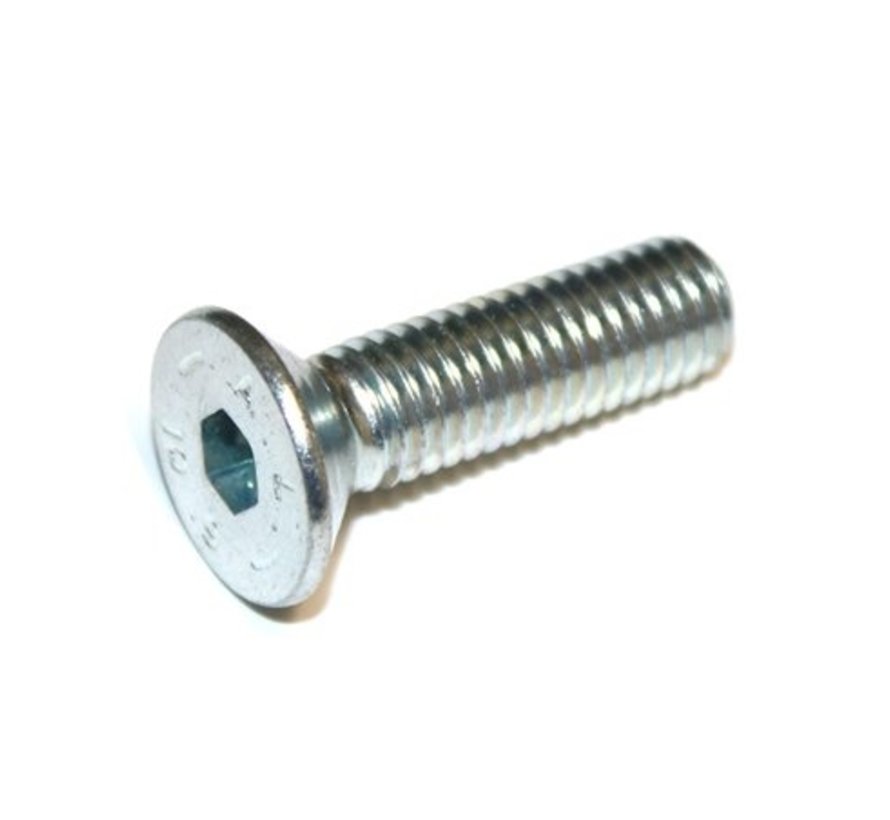 Blazer Brake bolt (Rembout)