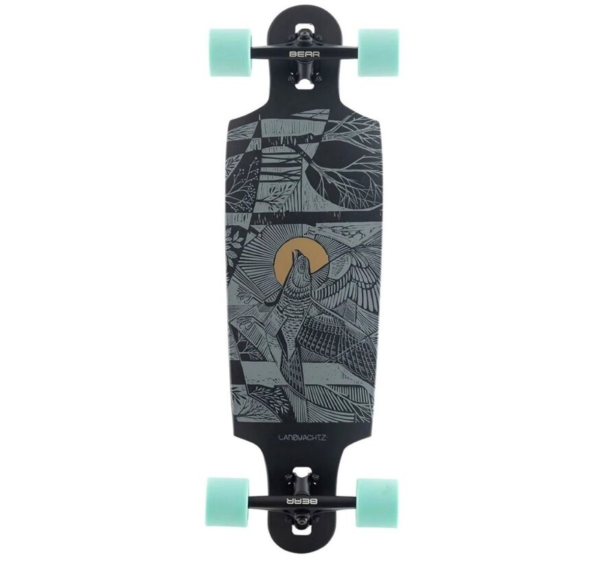 LandYachtz Drop Cat Seeker Black 33