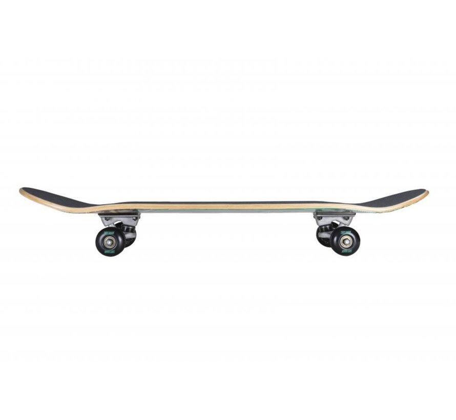 Skateboard Tony Hawk SS180 Crocodile Creek
