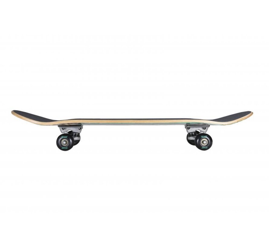 Skateboard Tony Hawk SS180 Crocodile Creek