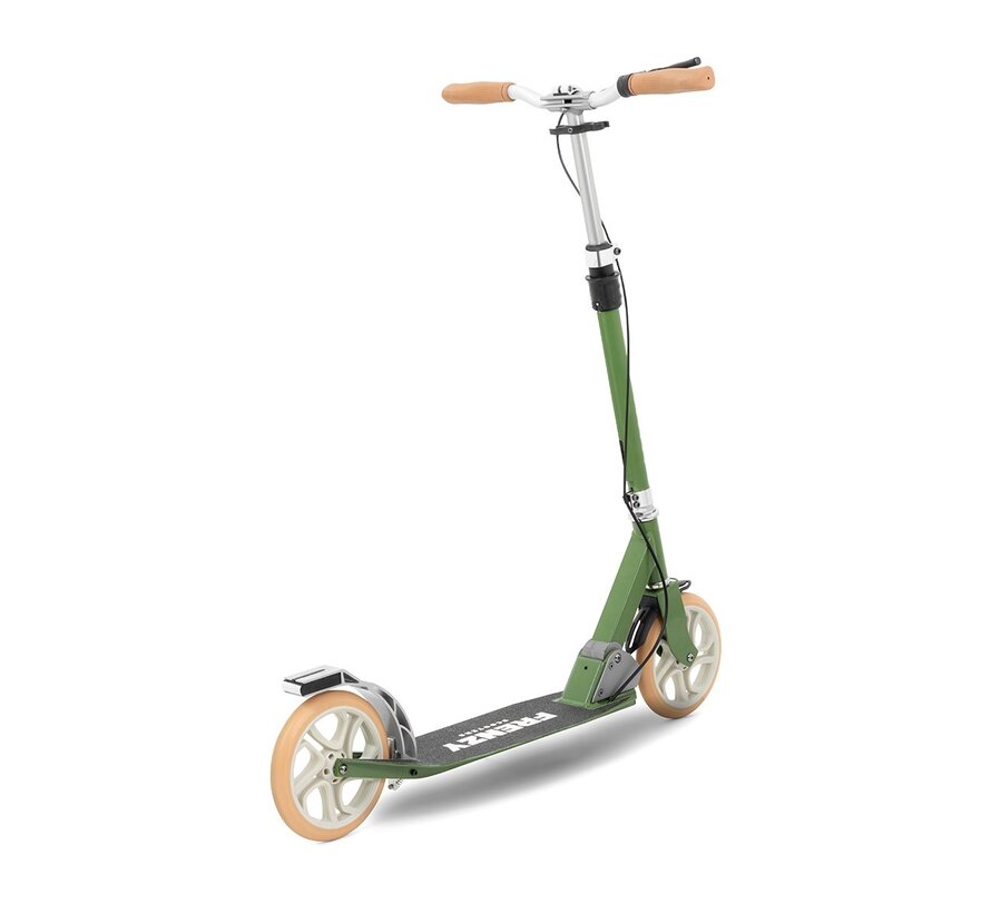 Frenzy 205 V4 Folding Scooter Dual Brake Green – Stylish and Safe Mobility
