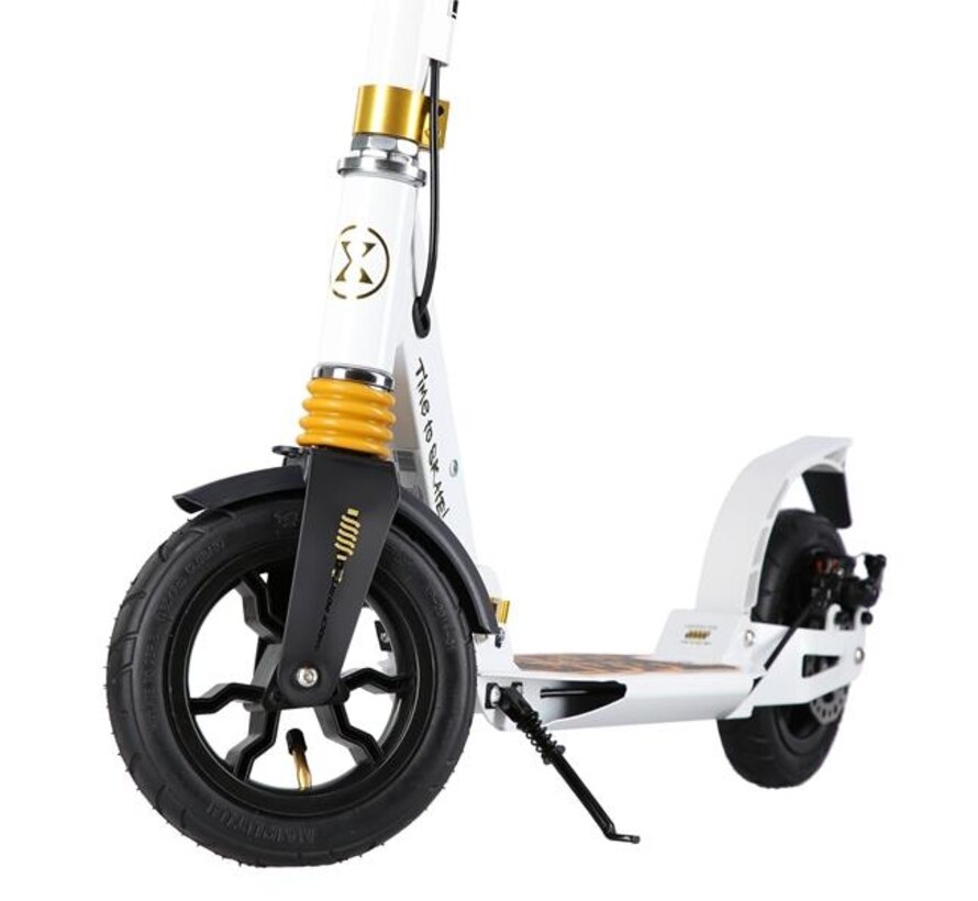 Hulajnoga składana Nils Extreme HM209T, biało-złota, 200 mm, opony pneumatyczne, hamulce tarczowe i nożne, amortyzacja i składana konstrukcja