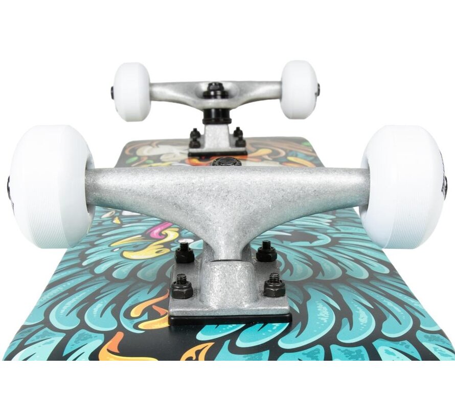 Planche à roulettes Tony Hawk Rotten complète avec un design classique