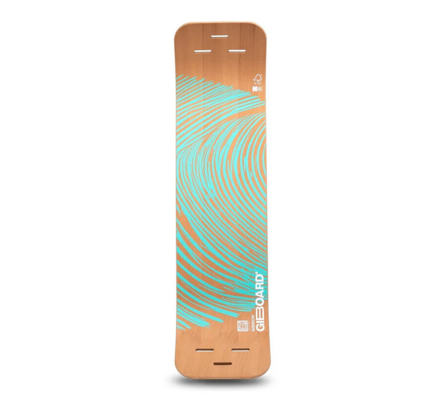 GIBOARD - TABLA DE SLACKLINE Azul Zen