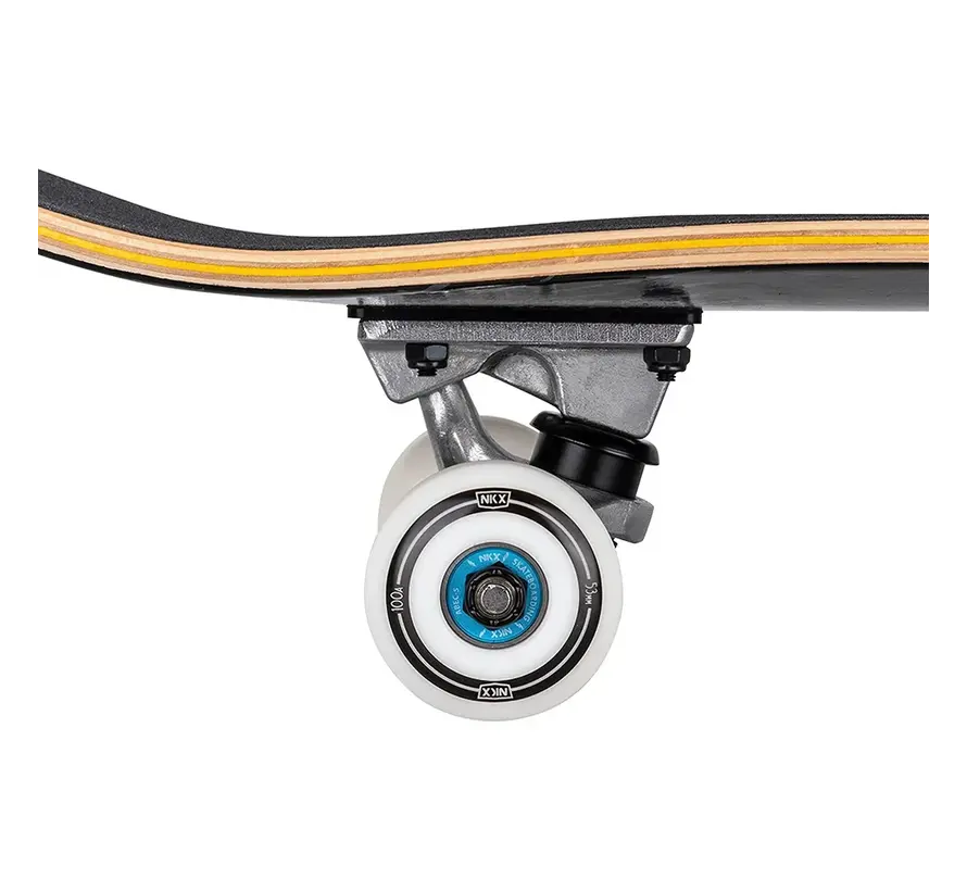 NKX Skateboard Rasta Royal Crâne 8.25"