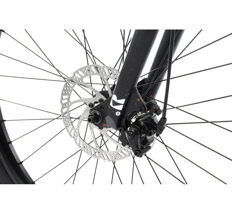 Vélo freestyle Radio Legion 26 Wheelie Bike couleur cuivre éclaboussures, avec grandes roues de 26 pouces et configuration street robuste