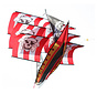 Cerf-volant pirate 3D X-Kites Cerf-volant pirate tridimensionnel avec effet 3D spectaculaire