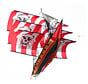 X-Kites 3D Pirate Kite Trójwymiarowy piracki latawiec ze spektakularnym efektem 3D