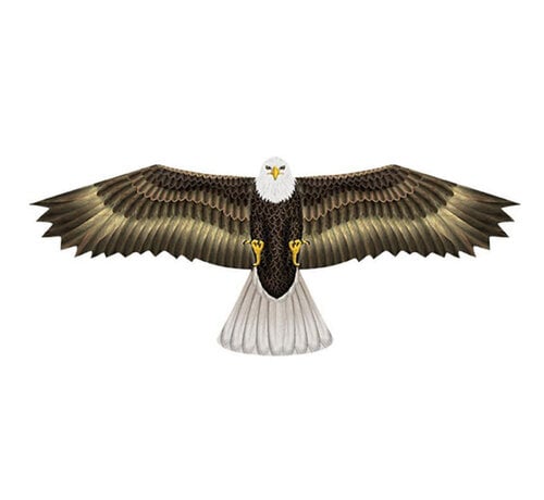 Wind N Sun Wind N Sun Eenlijnsvlieger Eagle Realistische Adelaar Vlieger voor Strand, Park en Vakantie