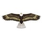 Wind N Sun Eenlijnsvlieger Eagle Realistische Adelaar Vlieger voor Strand, Park en Vakantie