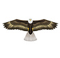 Wind N Sun Single-Line Kite Eagle Realistic Eagle Kite for Beach, Park, and Vacation