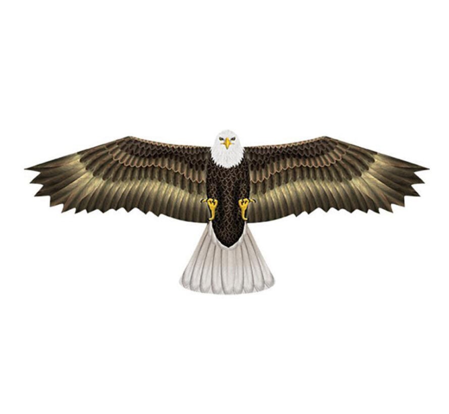 Wind N Sun Einleiner-Drachen Adler – Realistischer Adlerdrachen für Strand, Park und Urlaub