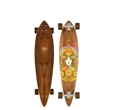 Arbor Arbor Solstice B4BC Fish Multi 37 Longboard