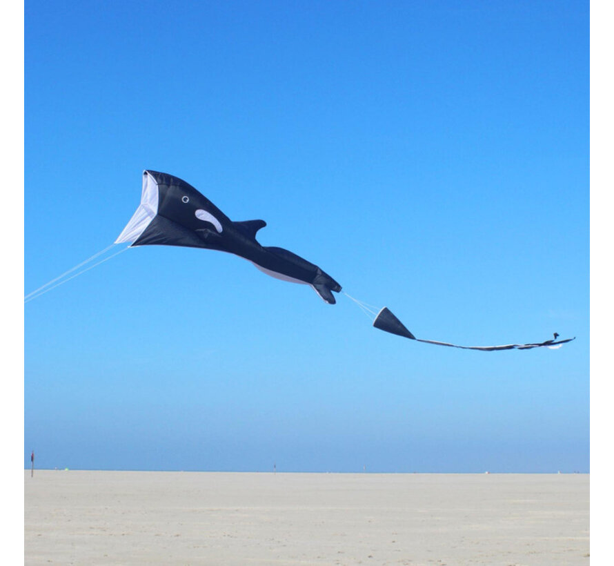 Wolkenstürmer Willi the Whale – Duży latawiec 3D Orca Single Line Kite