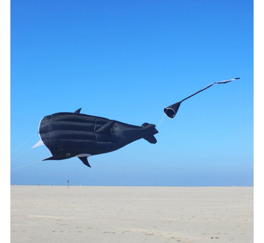 Wolkenstürmer Willi the Whale – Grote 3D Orka Eénlijnsvlieger