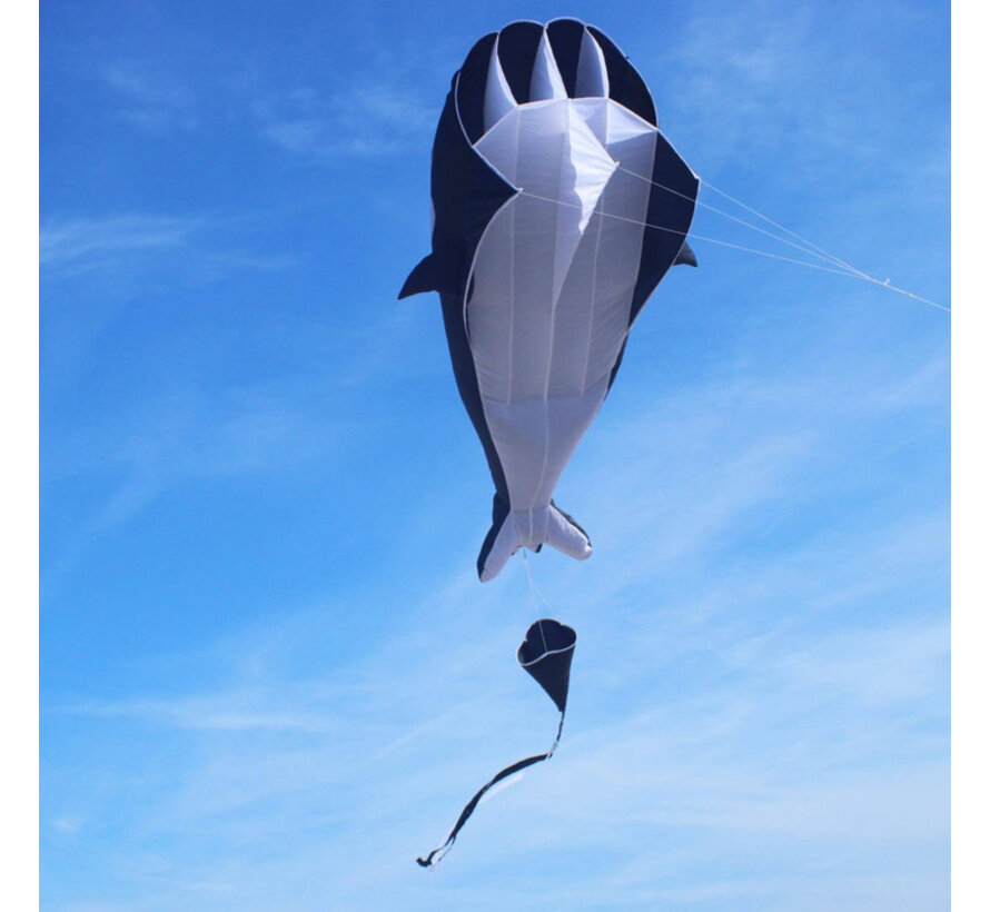 Wolkenstürmer Willi the Whale – Duży latawiec 3D Orca Single Line Kite