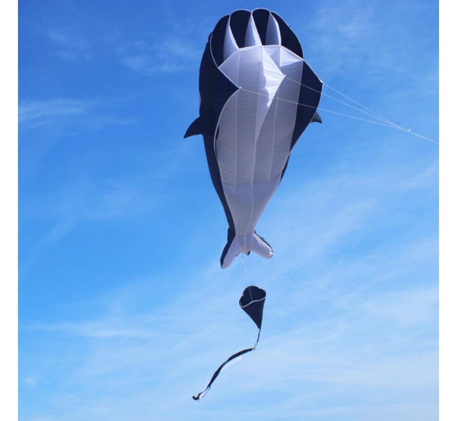 Wolkenstürmer Willi the Whale – Grote 3D Orka Eénlijnsvlieger