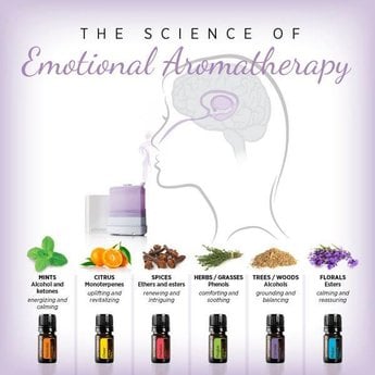 DōTERRA essential oils  Essential Aromatics Touch Kit