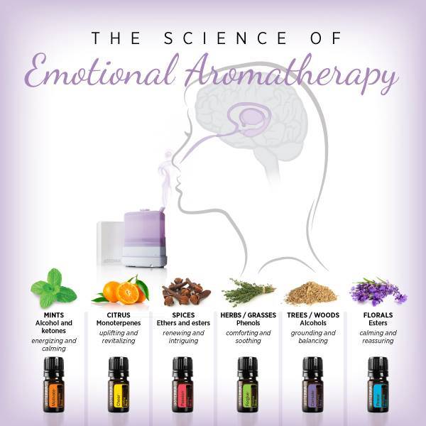 doterra emotional aromatherapy wheel