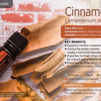Doterra Cinnamon Bark 5 ml Essential Oil
