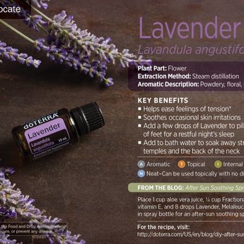 DōTERRA essential oils  doTERRA Lavendel Essentiële Olie enkelvoudige olie 15 ml.