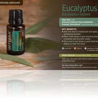 doTERRA Essential Oils Eucalyptus Essentiële Olie doTERRA - enkelvoudige olie