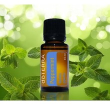 Peppermint Essential Oil