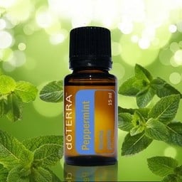 DōTERRA essential oils  Pepermunt Essentiële Olie 15 ml.