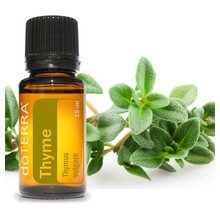 Thyme Essential Oil