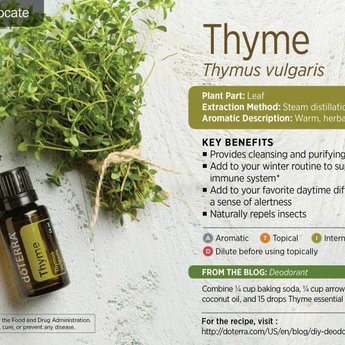 DōTERRA essential oils  Thyme Essential Oil