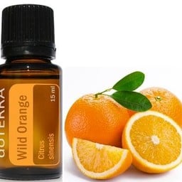 DōTERRA essential oils Citrus Bliss Essential Oil - Invigorating blend 15  ml. - Bliz Wellness