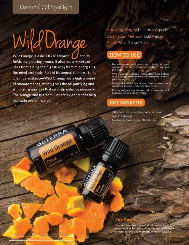 doTERRA Wild Orange Essentiële Olie 5 ml. probeerflesje - Bliz Wellness